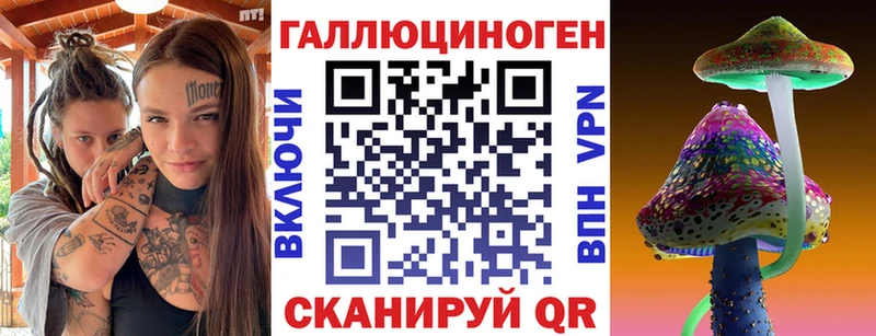 Галлюциногенные грибы Psilocybine cubensis Красногорск