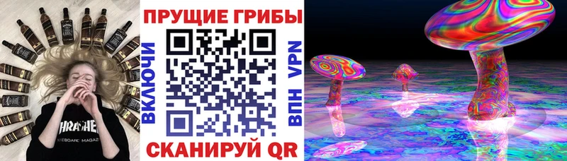 кракен онион  Красногорск  Псилоцибиновые грибы Magic Shrooms 