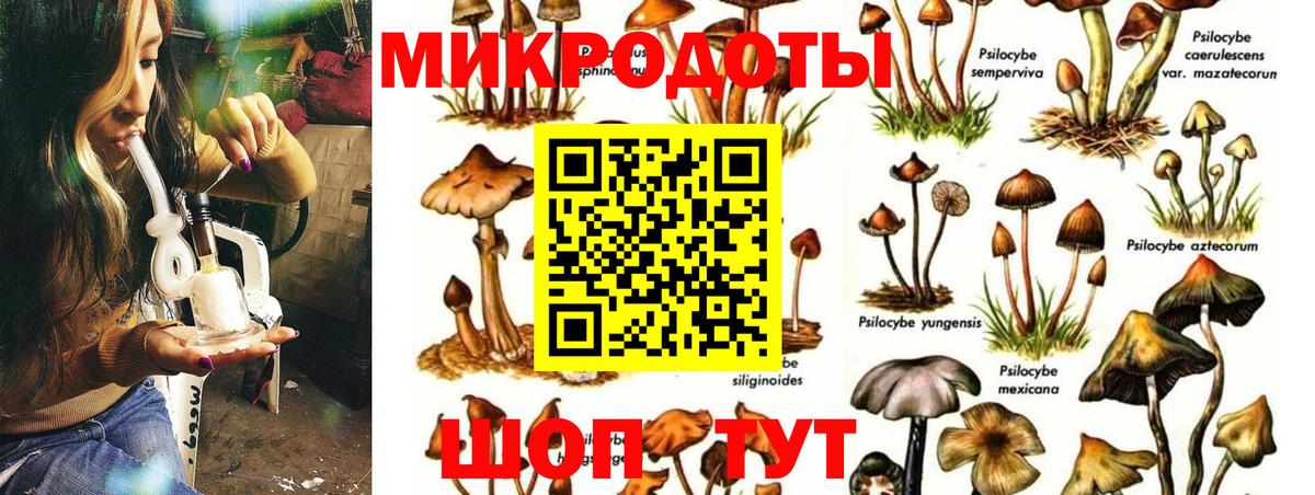 Красногорск  Галлюциногенные грибы прущие грибы  Галлюциногенные грибы мицелий  Вход с VPN 